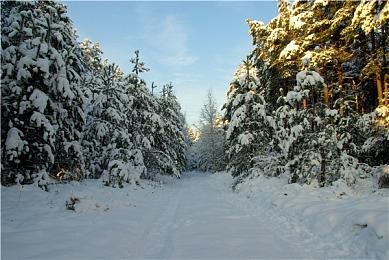 《雷电3 x MIKADO MANIAX》首发预告片分享